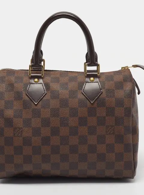 Louis Vuitton Speedy 25 Damier Ebene Canvas Bag