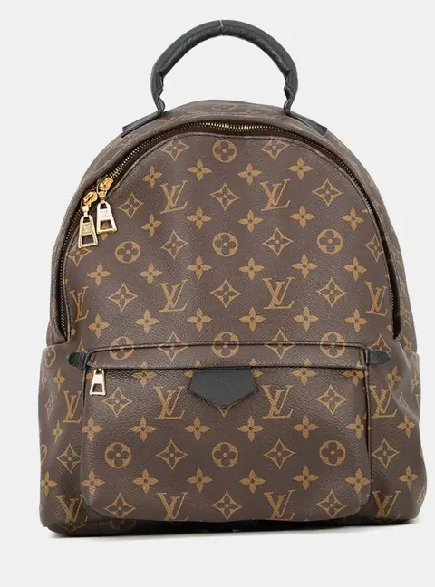 Louis Vuitton Palm Springs Backpack Noir Monogram Size Mm