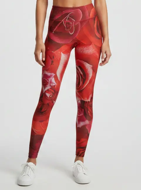 Roberto Cavalli Multicolour Rose Print Jersey Fitted Legging XS
