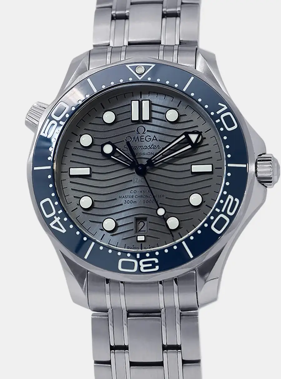 Omega Seamaster Professional 210.30.42.20.06.001Grey Stainless Steel Men's Wristwatch 42mm