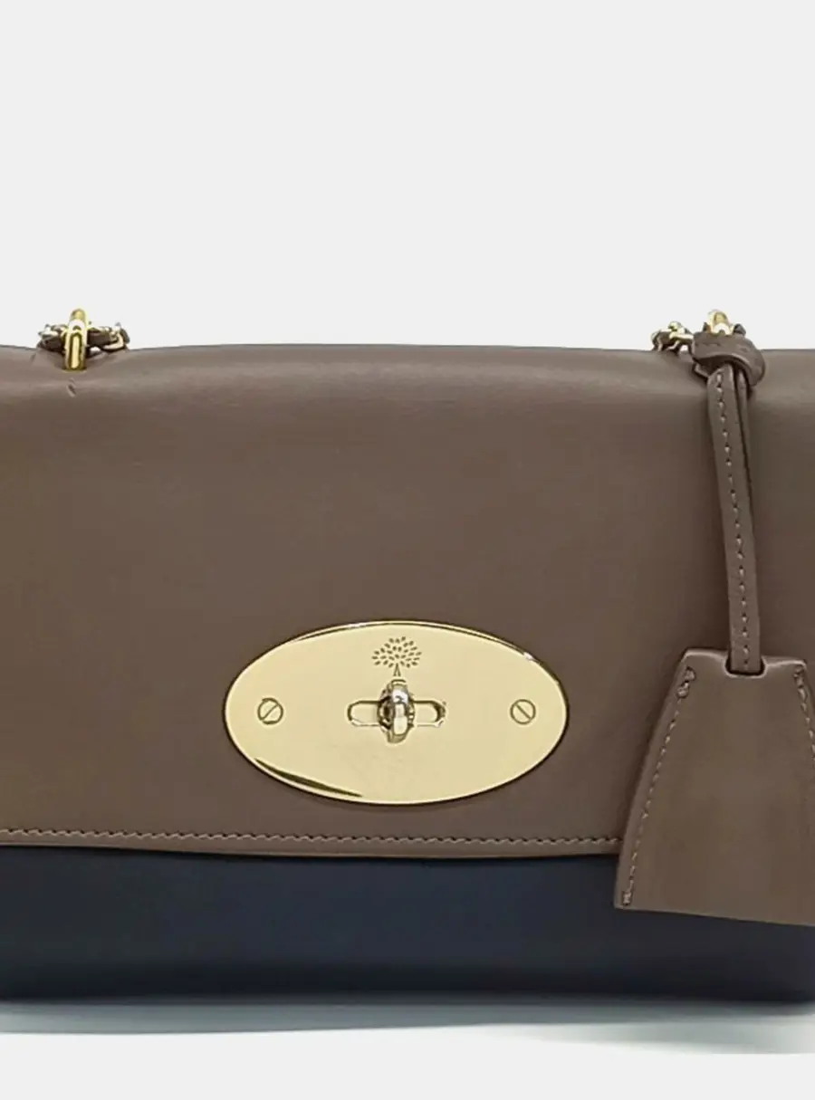 Mulberry Multicolor Leather Lily Bag