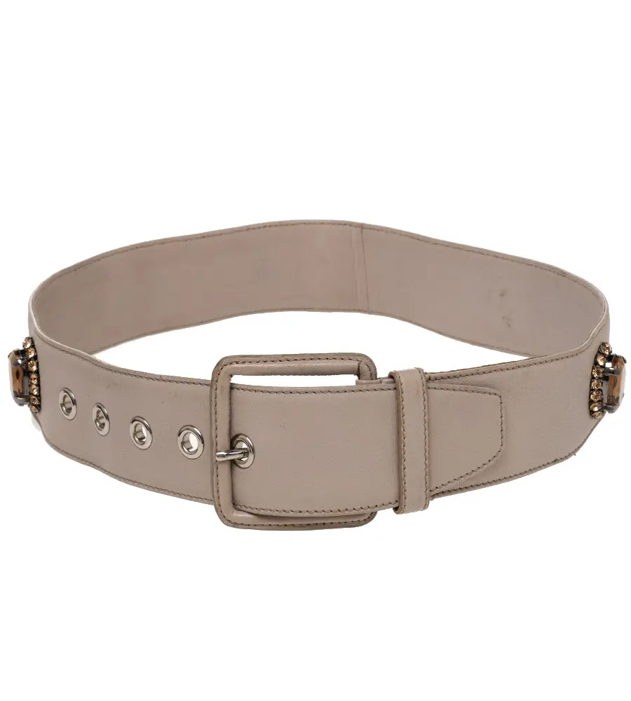 Miu Miu Beige Soft Leather Embellished Buckle Belt 70CM