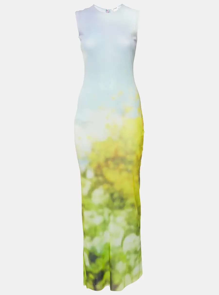 Acne Studios Blue Blurred Print Mesh Maxi Dress XS