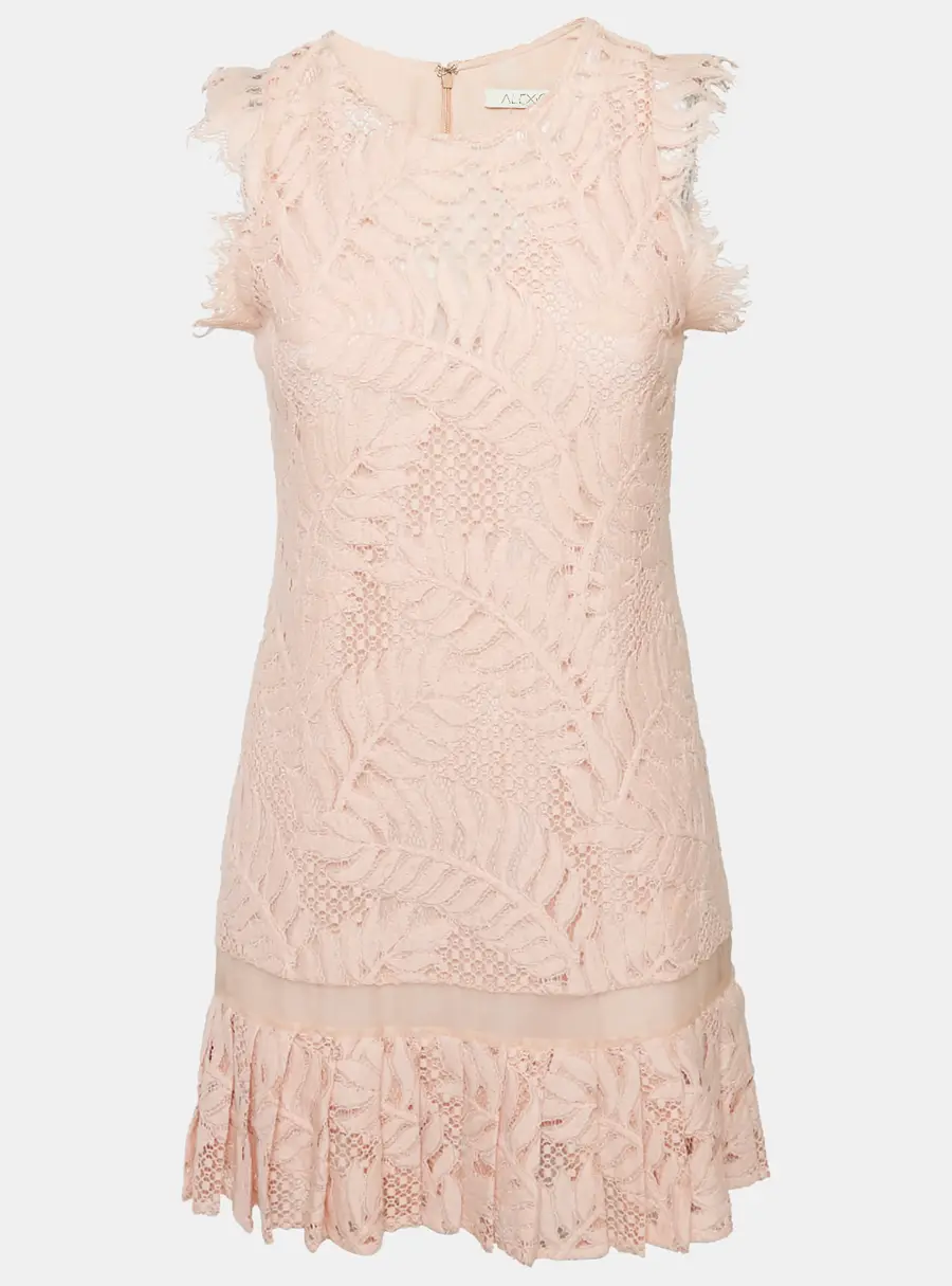 Alexis Light Pink Lace Sleeveless Shift Dress S