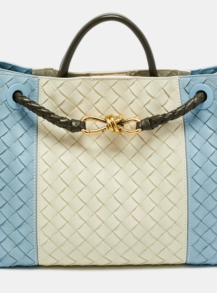 Bottega Veneta Andiamo Medium Multicolor Intrecciato Leather Tote