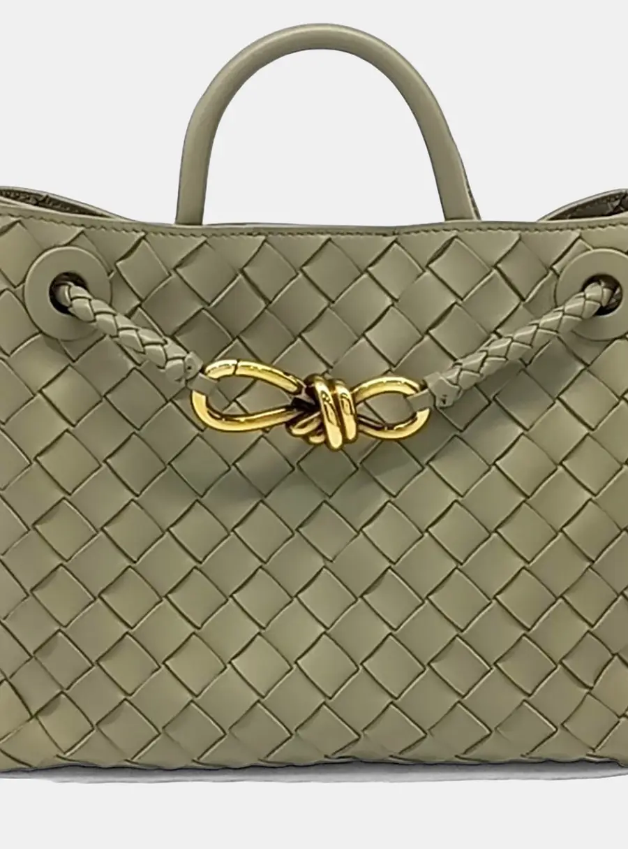 Bottega Veneta Andiamo Small