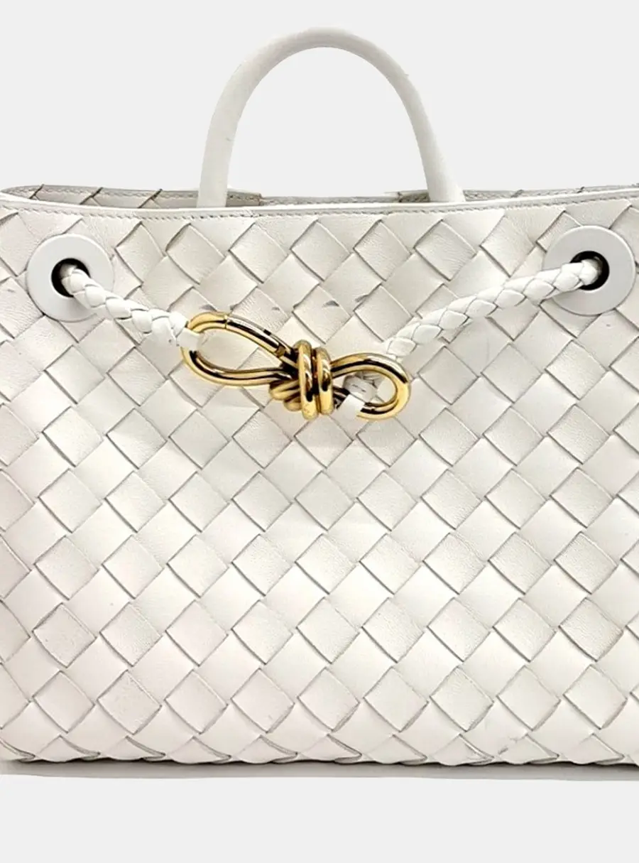 Bottega Veneta White Leather Andiamo Small