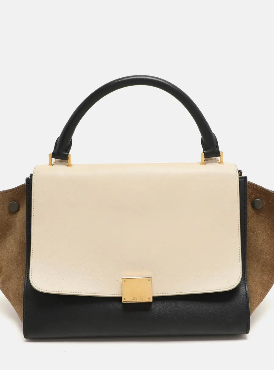Celine Trapeze Multicolor Leather Top Handle Bags