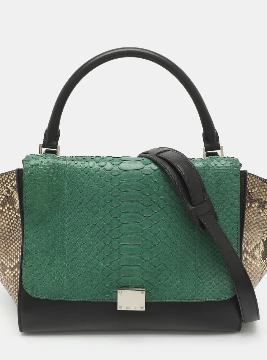 Celine Trapeze Medium Multicolor Leather and Python Top Handle Bag