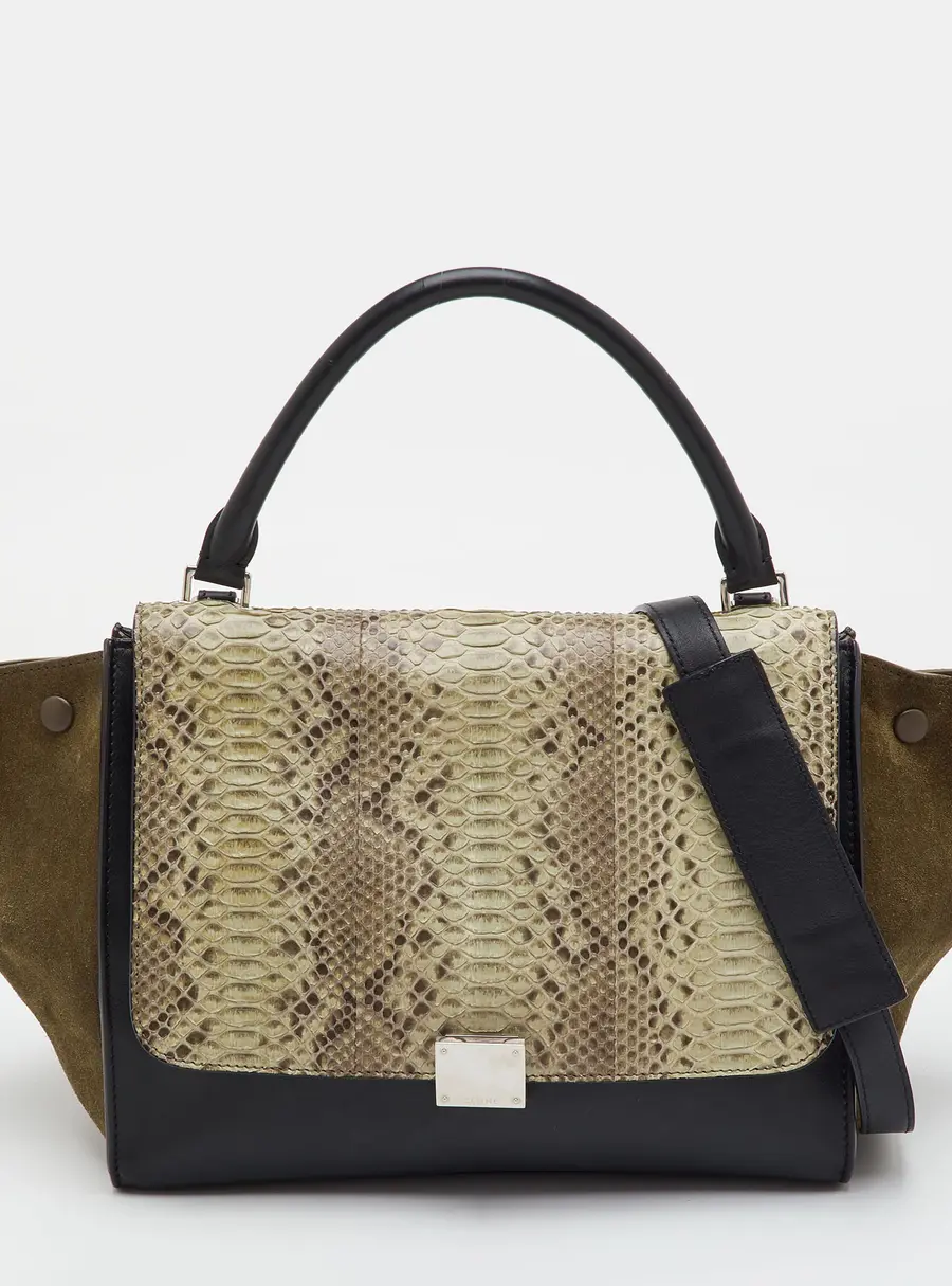 Celine Trapeze Medium Multicolor Leather and Suede and Python Bag