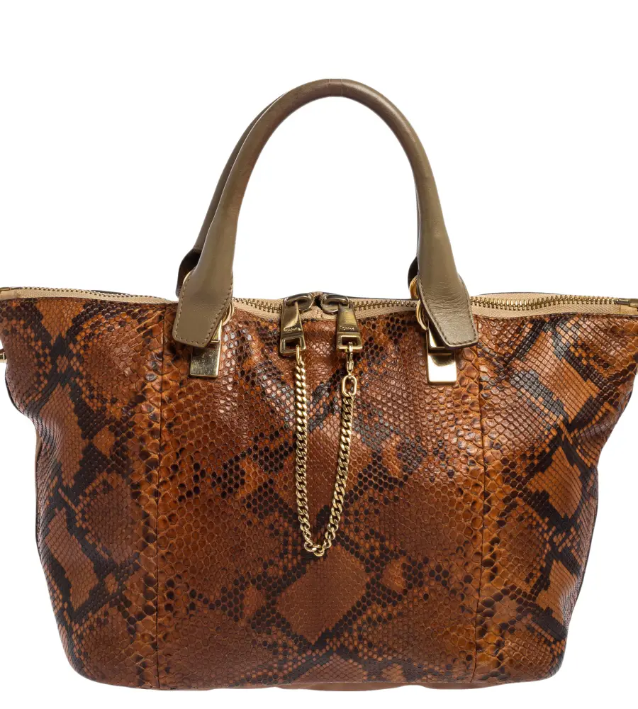 Chloe Brown Python and Leather Baylee Tote