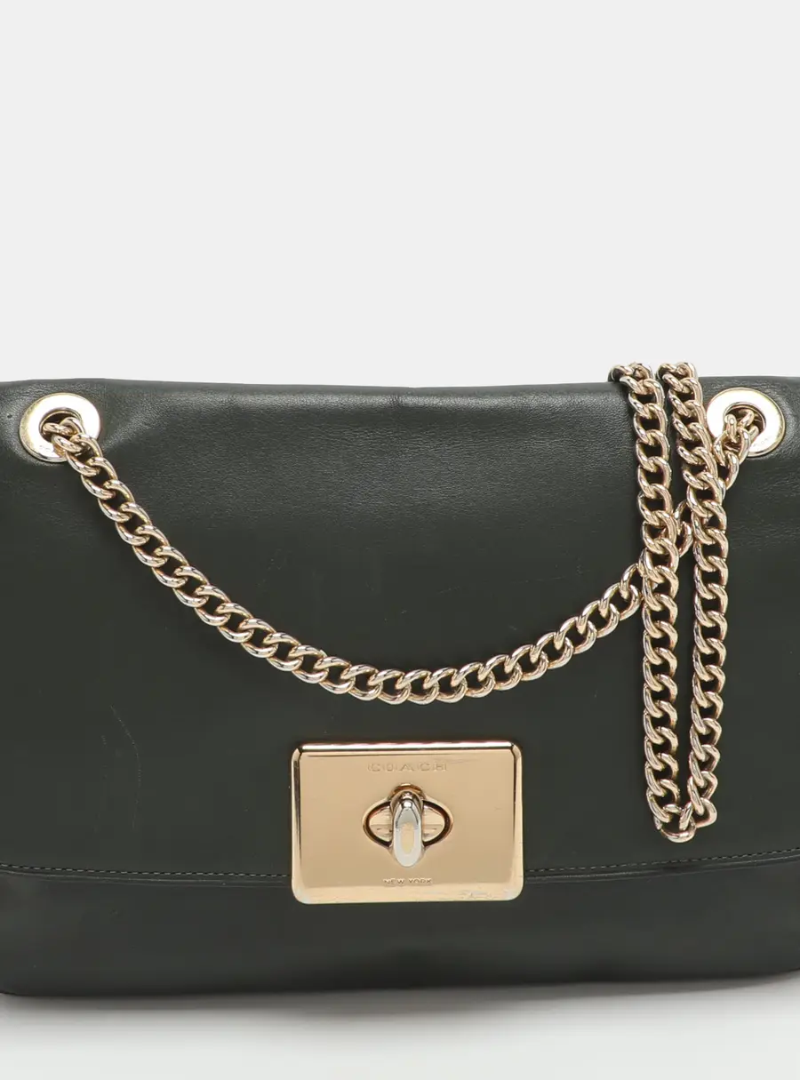 Coach Cassidy Green/Brown Leather and Python Embossed Chain Flap Shoulder Bag
