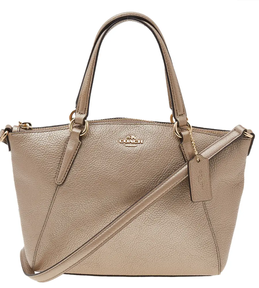 Coach Metallic Beige Leather Small Tote