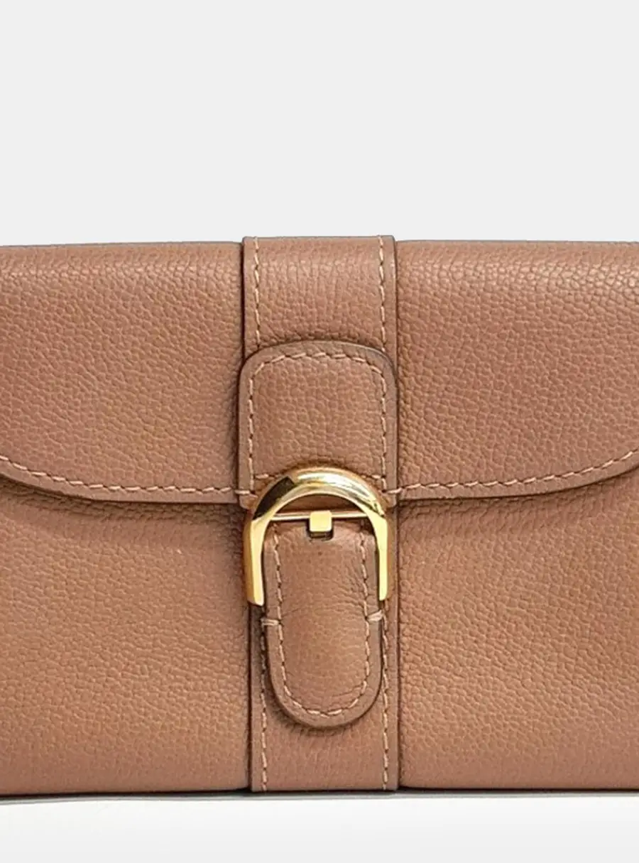 Delvaux Brillant Card Wallet Brown Grained Leather Wallet Bag