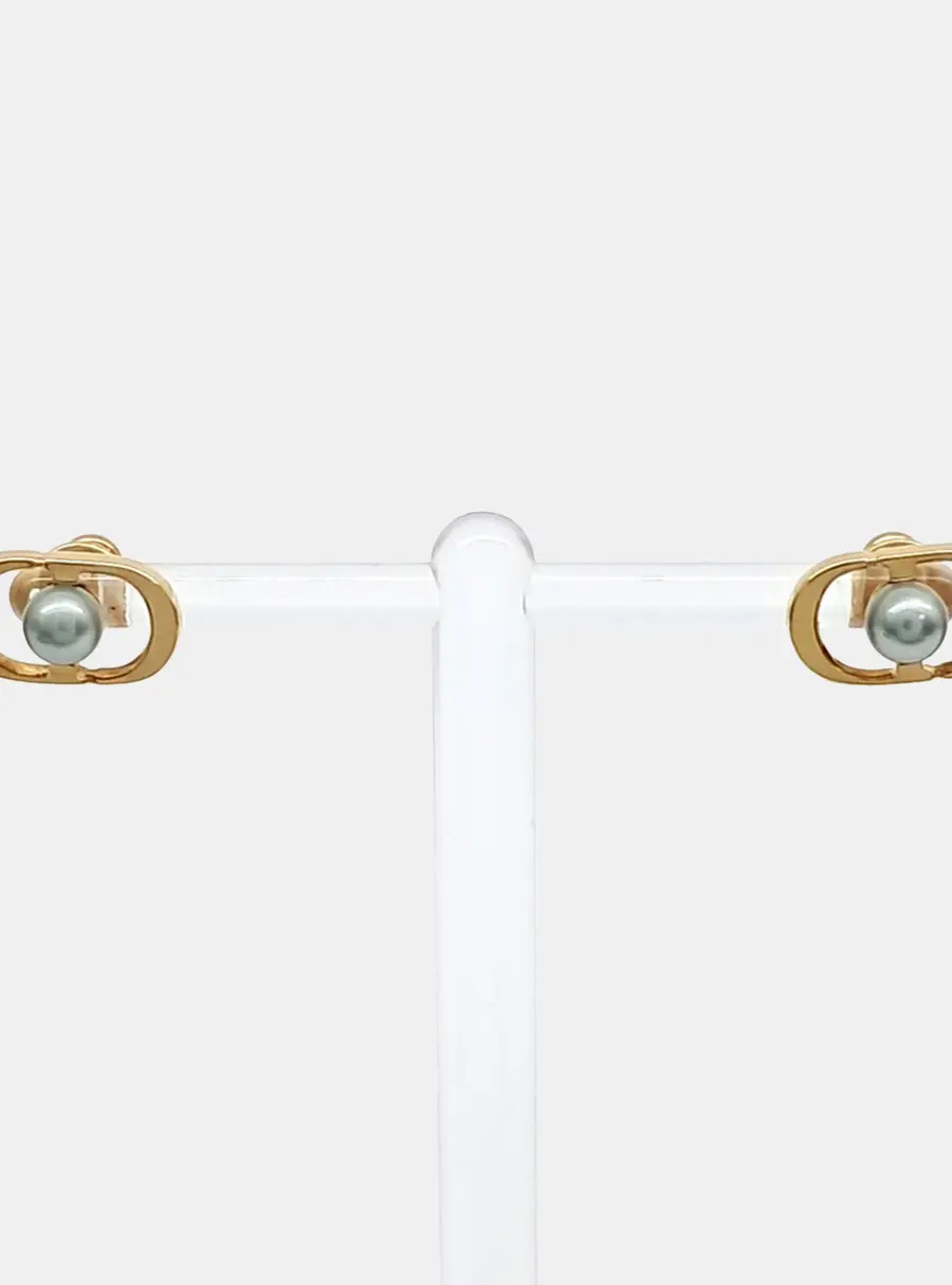 Christian Dior Earrings