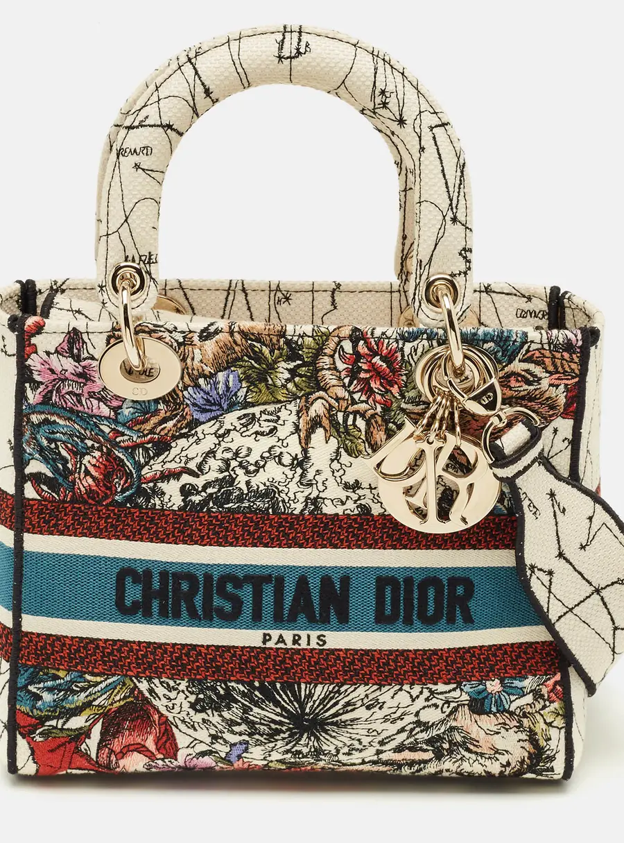 Dior Multicolor Floral Embroidered Canvas Medium Lady D-Lite Tote
