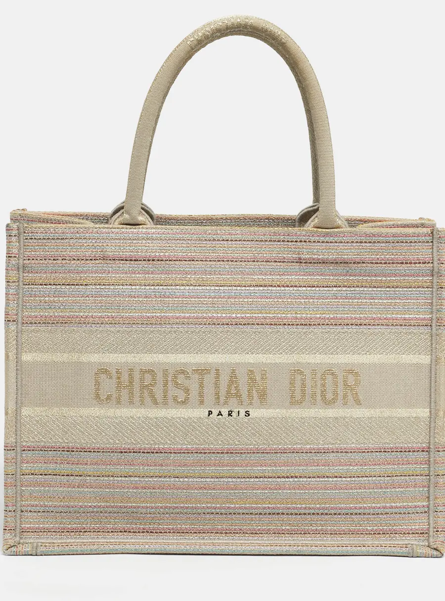 Dior Multicolor Embroidered Stripes Canvas Medium Book Tote