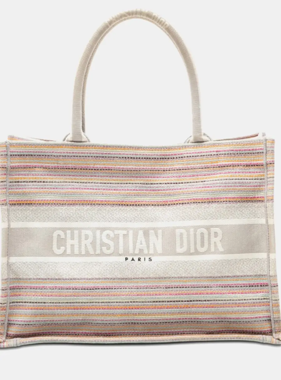 Dior Book Tote Medium Multicolor Embroidered Canvas Bag