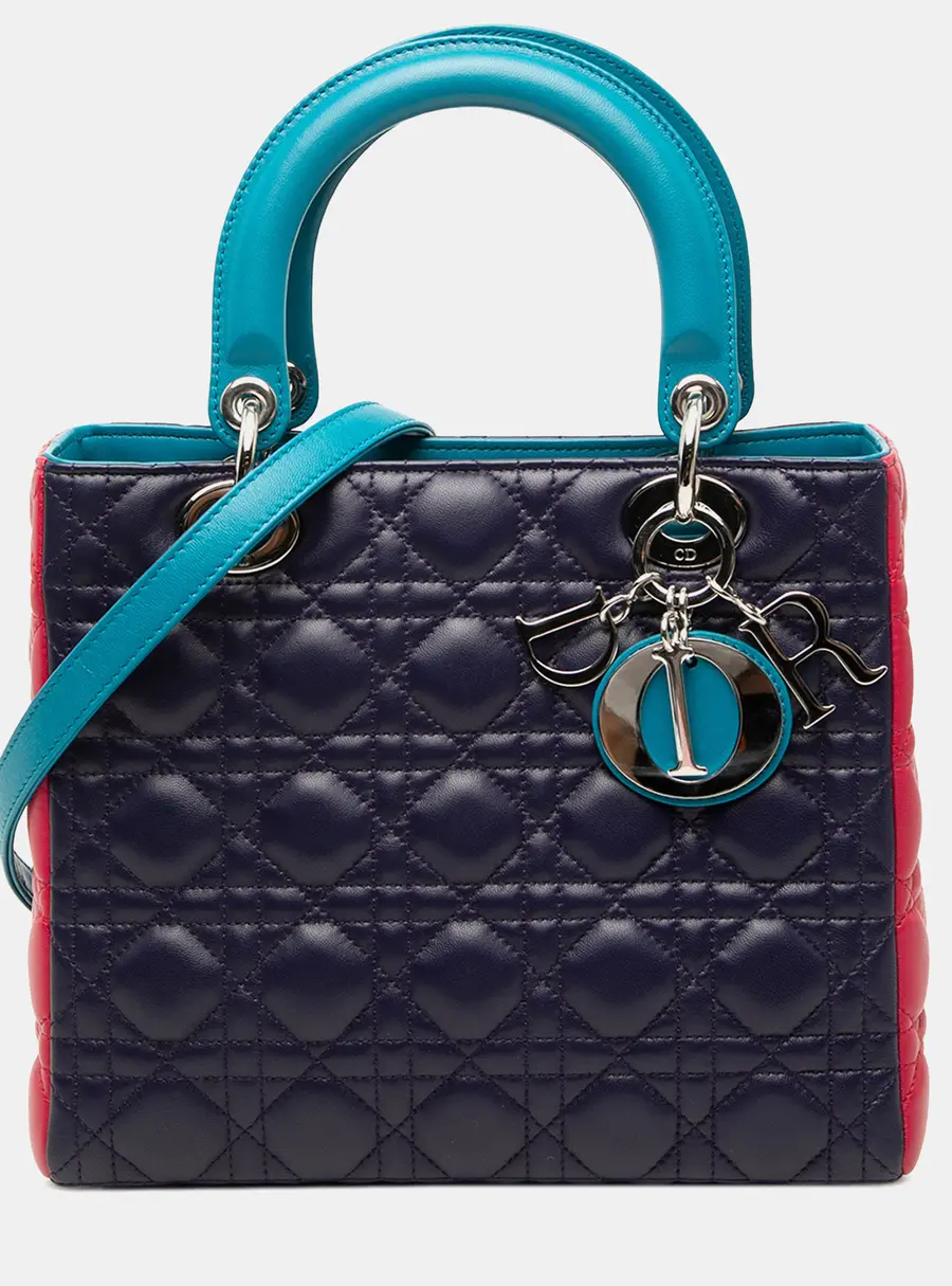 Christian Dior Lady Dior Medium Multicolor Lambskin Leather Top Handle Bag