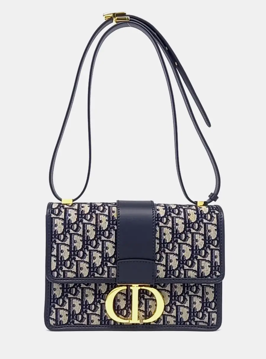 Dior Multicolor Fabric Oblique 30 Montaigne Bag