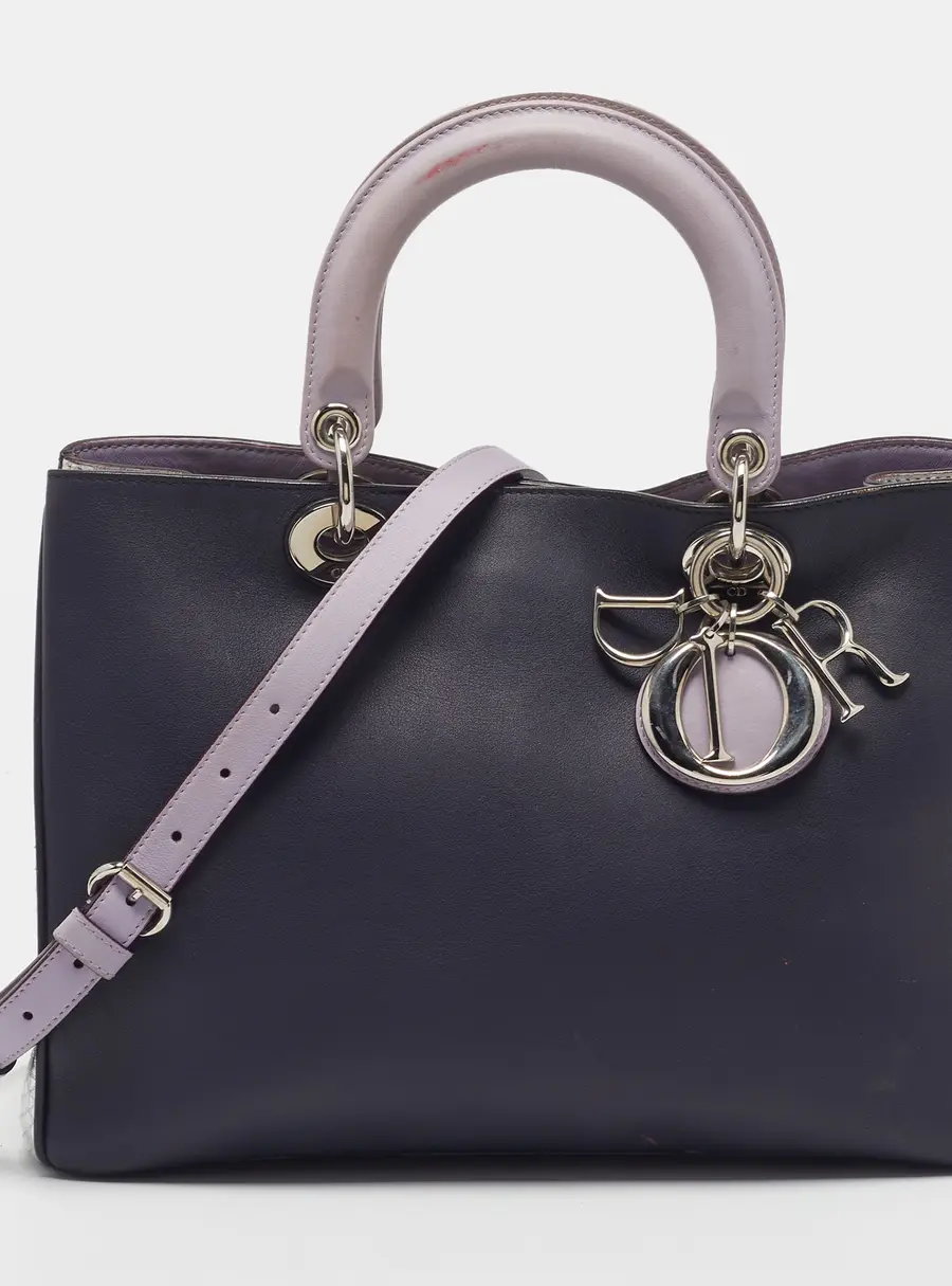 Dior Diorissimo Medium Tricolor Leather and Snakeskin Tote