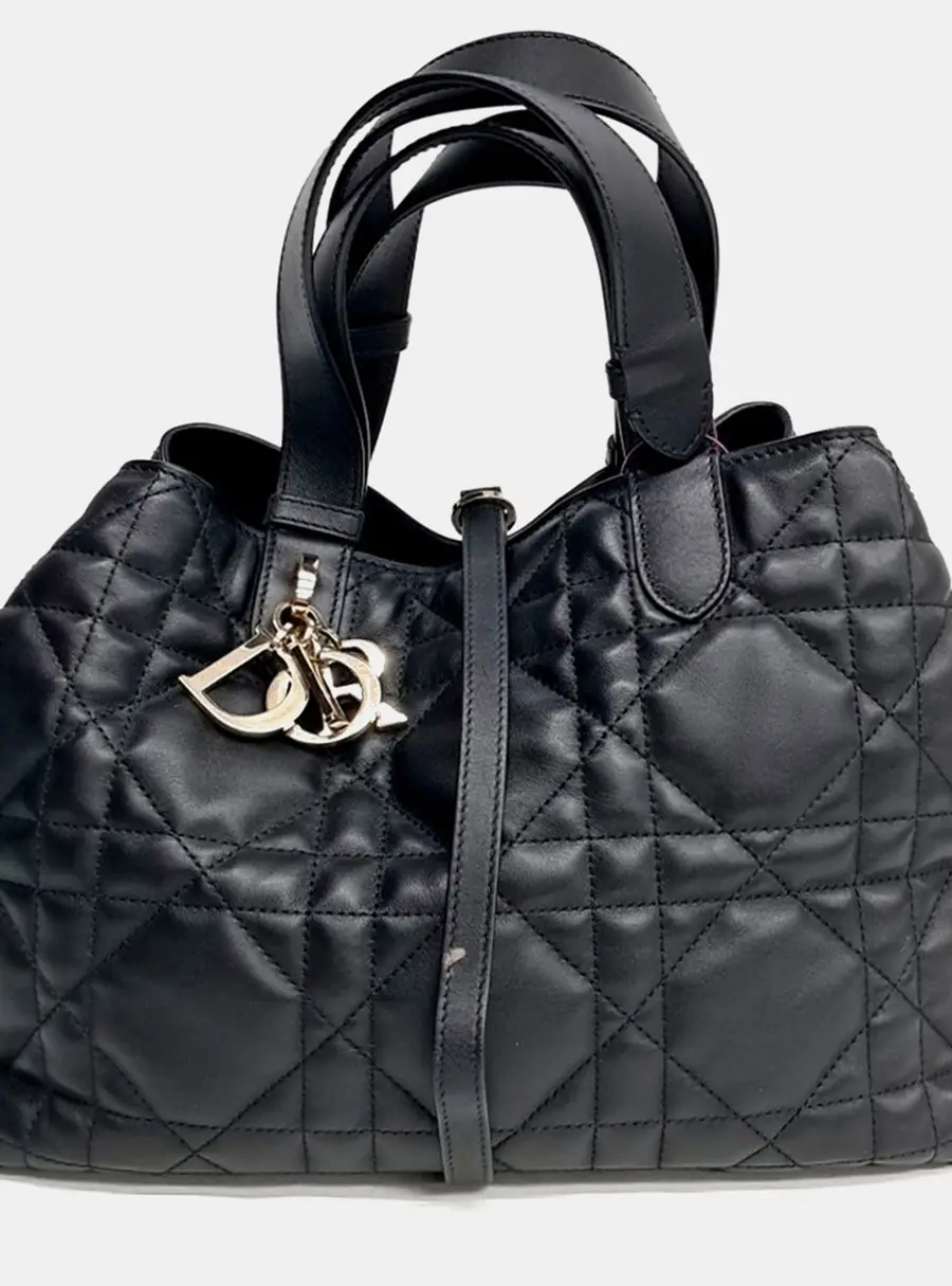Dior Multicolor Leather Toujours Medium