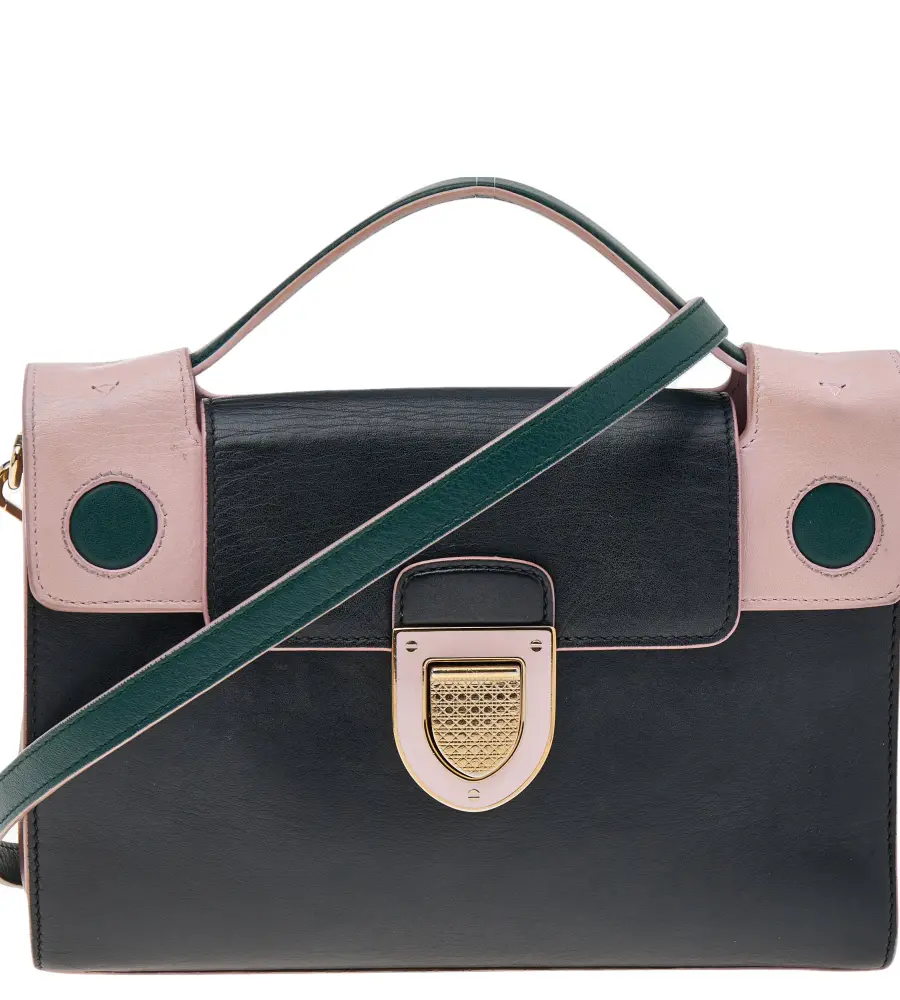 Dior Multicolor Leather Diorever Top Handle Bag
