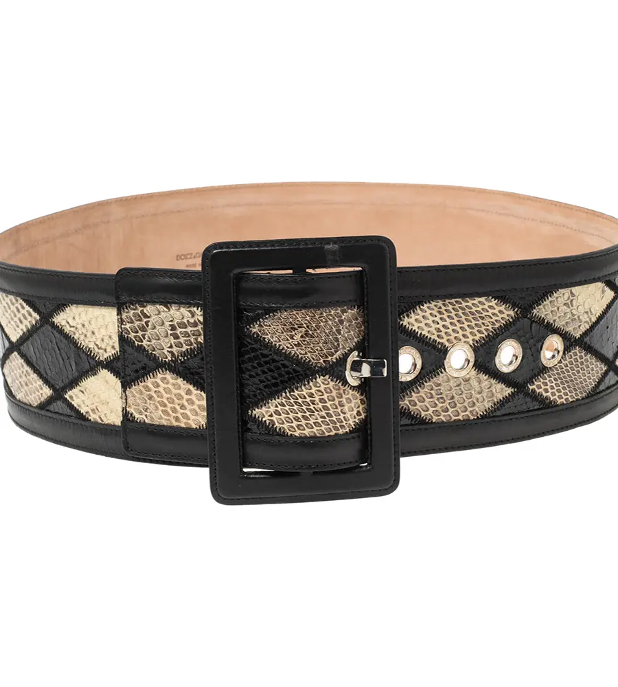 Dolce & Gabbana Waist Belt Multicolor Coated Canvas