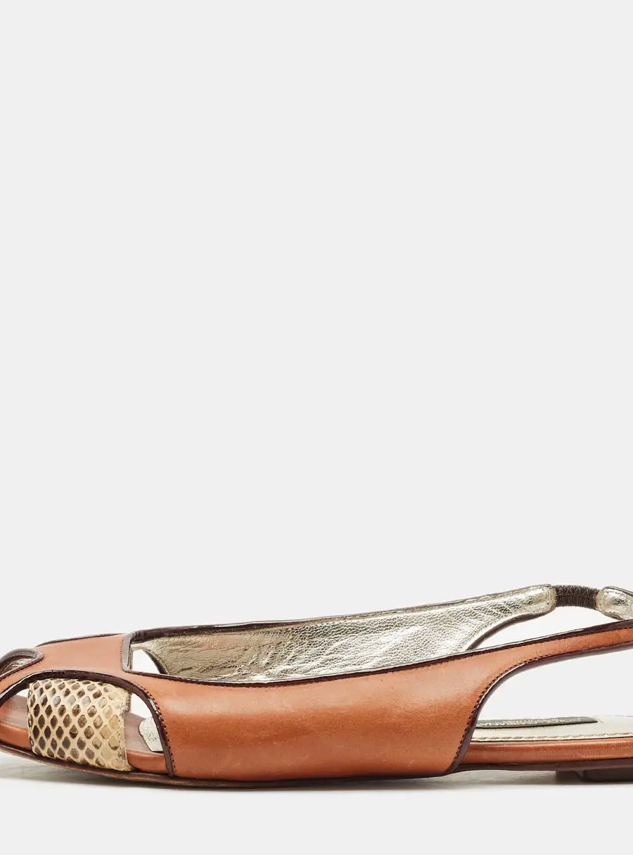 Dolce & Gabbana Brown Leather and Snakeskin Leather Flat Sandals Size 37