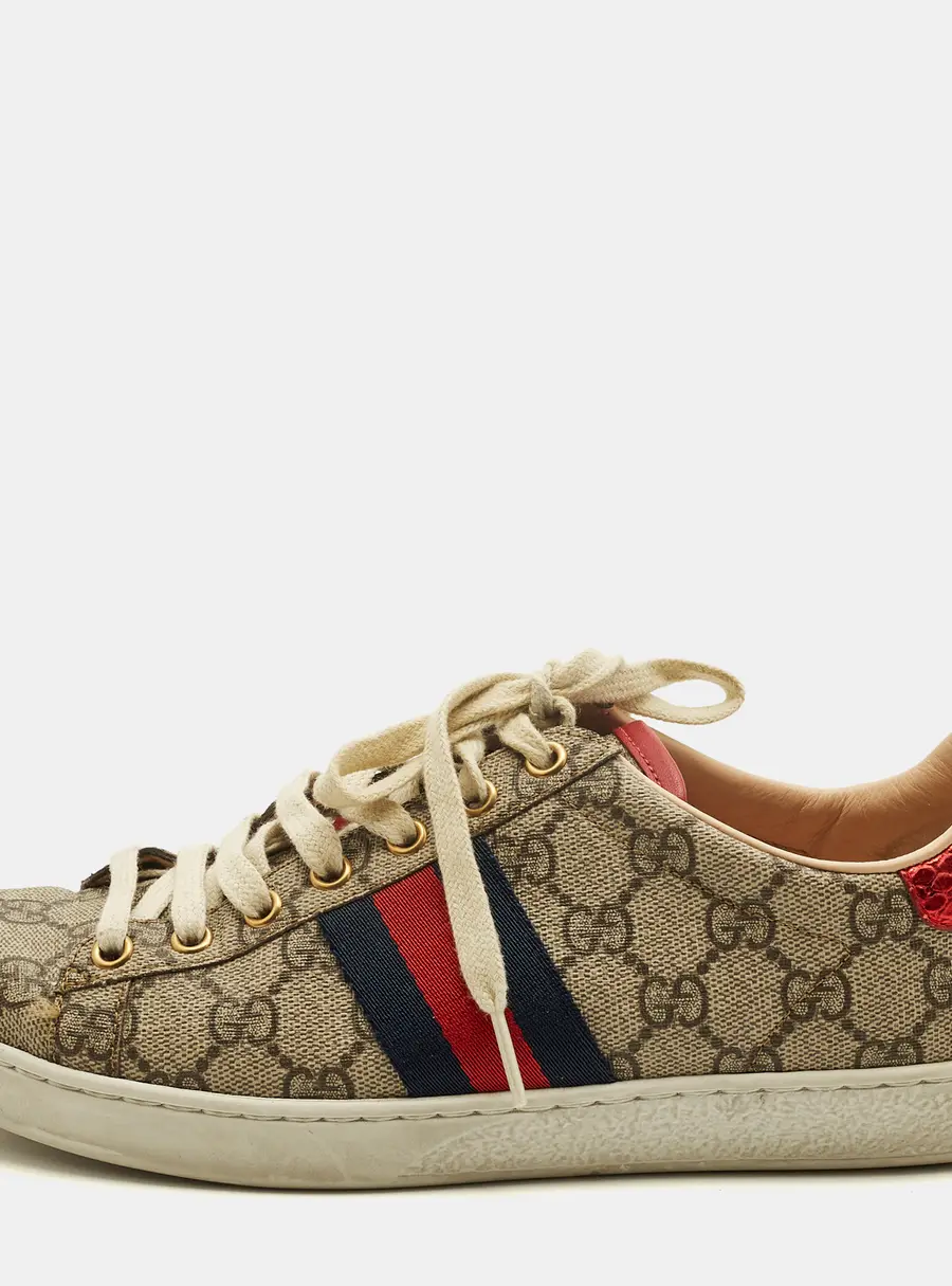 Gucci Ace Web Size 38.5 Beige/Brown GG Supreme Canvas Low Top Sneakers