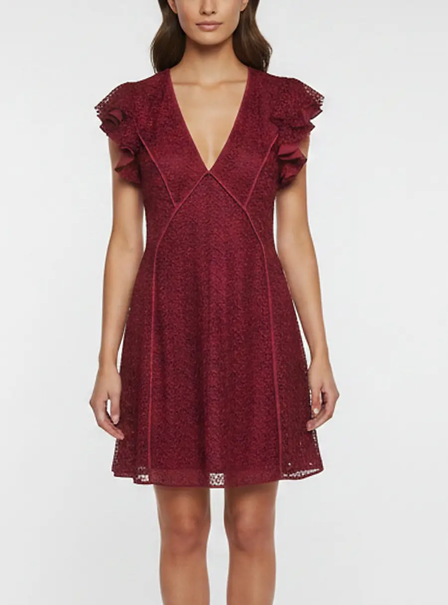 Giamba Burgundy Floral Lace V-Neck Mini Dress XS