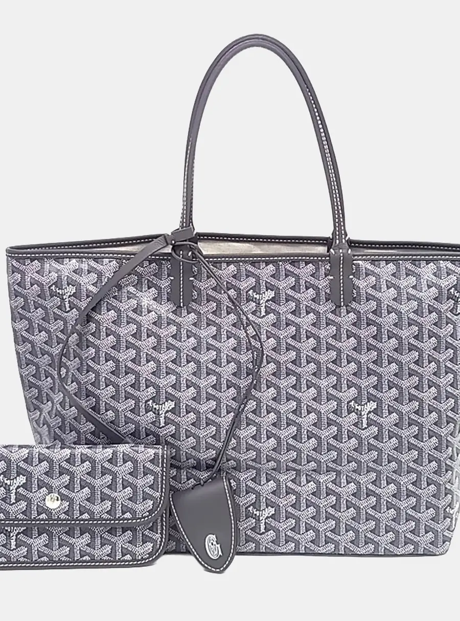 Goyard Multicolor PVC Saint Louis PM