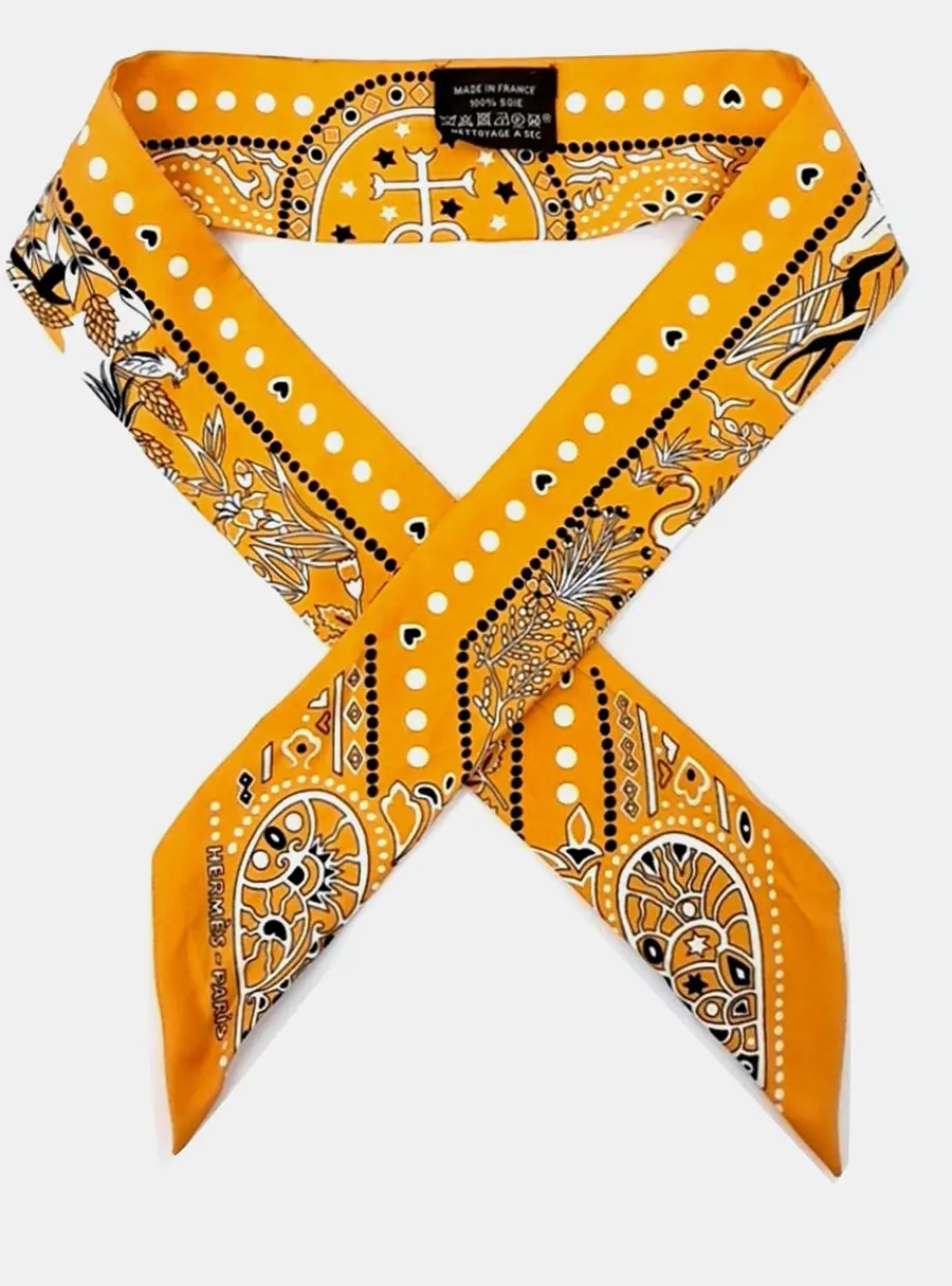 Hermes Orange Twilly