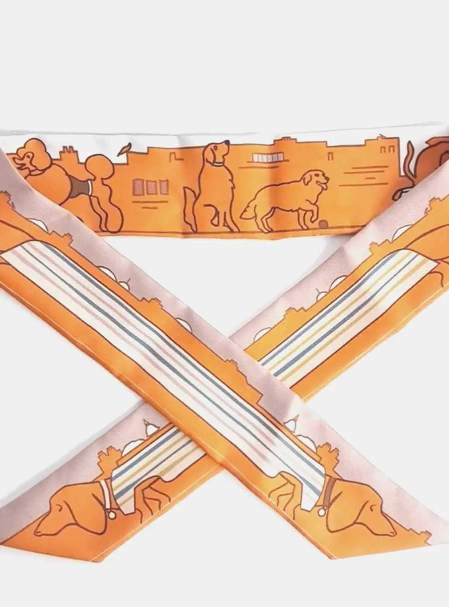 Hermès Silk Multicolor Twilly scarf