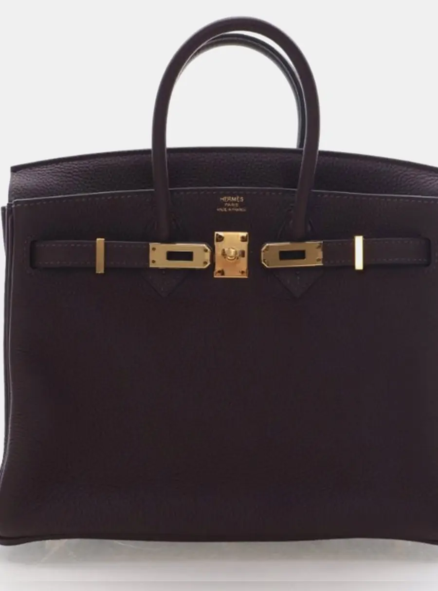 Hermes Birkin 25 Chocolate Togo Calfskin Leather Top Handle Bag