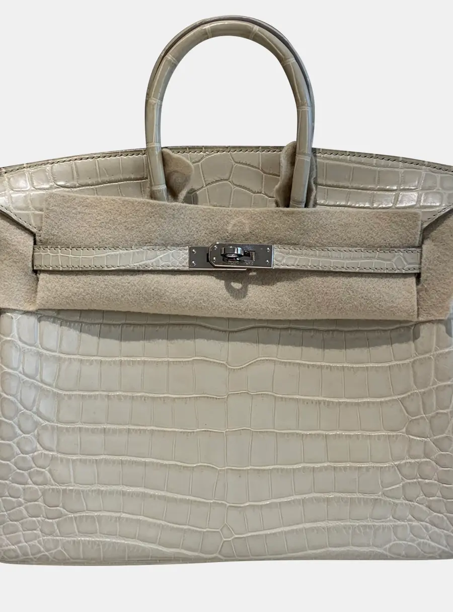 Hermes Birkin 25 Beton Matte Alligator Palladium Hardware Top Handle Bag