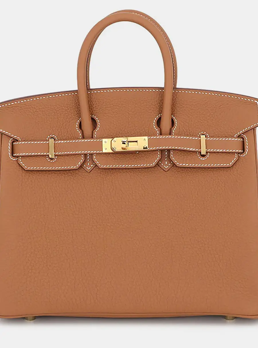 Hermes Birkin 25 Gold Togo Calfskin Leather Top Handle Bag