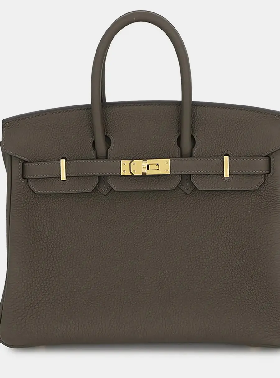 Hermes Birkin 25 Vert Maquis Togo Calfskin Leather Top Handle Bag