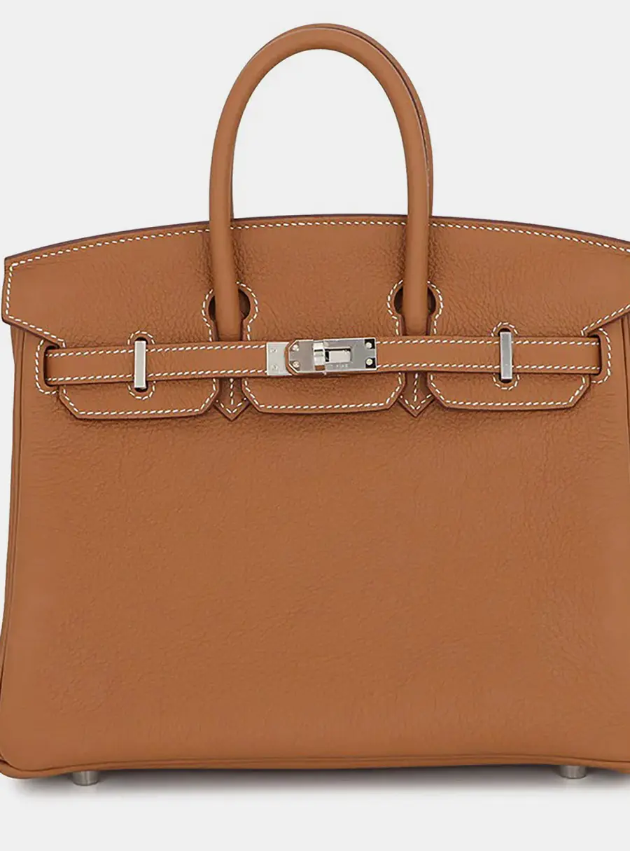 Hermes Birkin 25 Gold Togo Calfskin Leather Top Handle Bag
