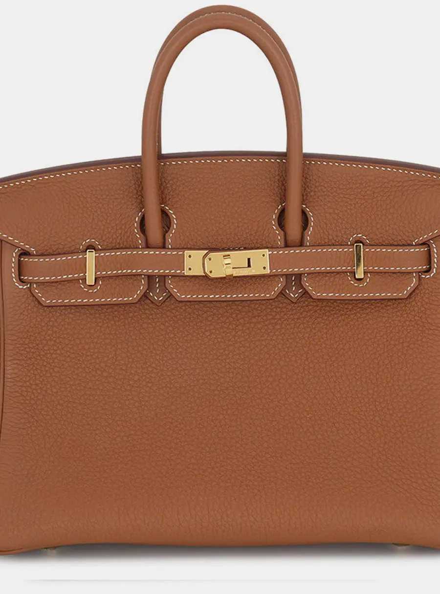 Hermes Birkin 25 Gold Togo Calfskin Leather Top Handle Bag