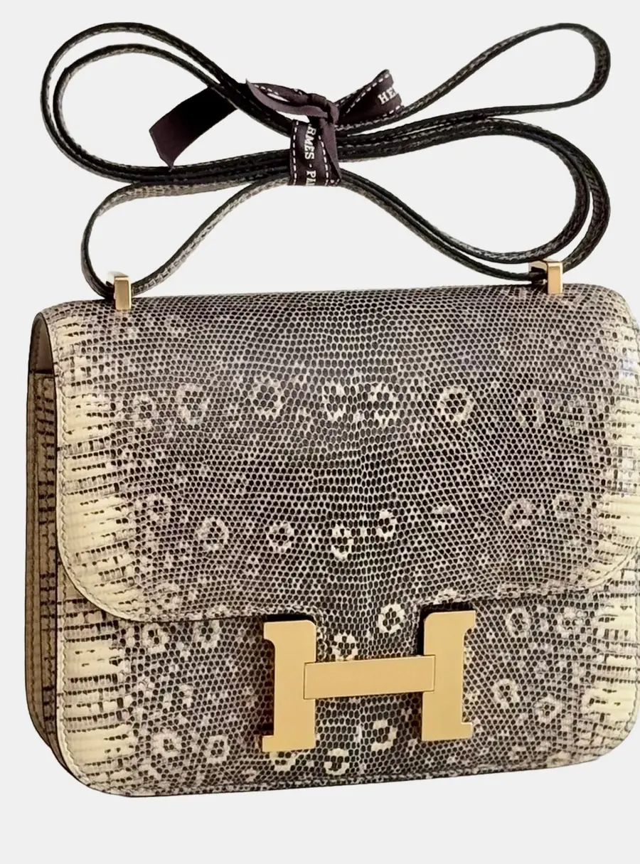 Hermes constance19 bag