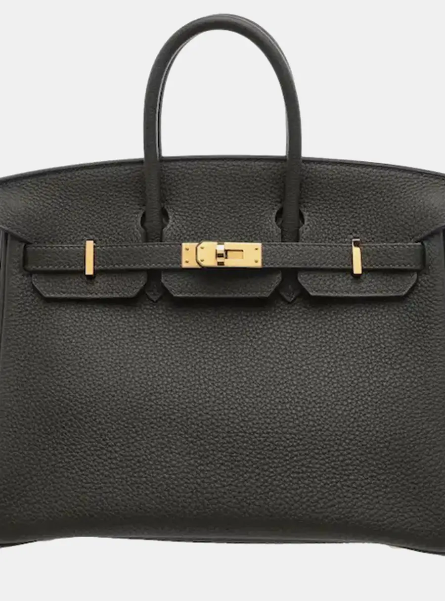 Hermes Birkin 25 Vert de Gris Togo Calfskin Leather Top Handle Bag
