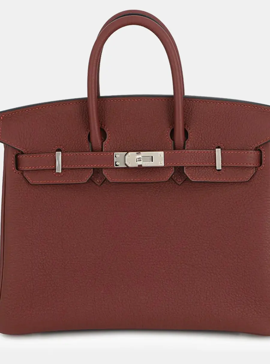 Hermes Birkin 25 Rouge H Togo Calfskin Leather Top Handle Bag