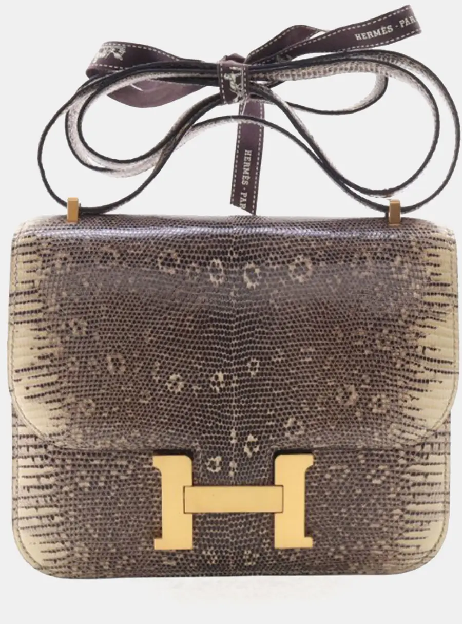 Hermes Constance 18 Ombre Lizard Leather Shoulder Bag