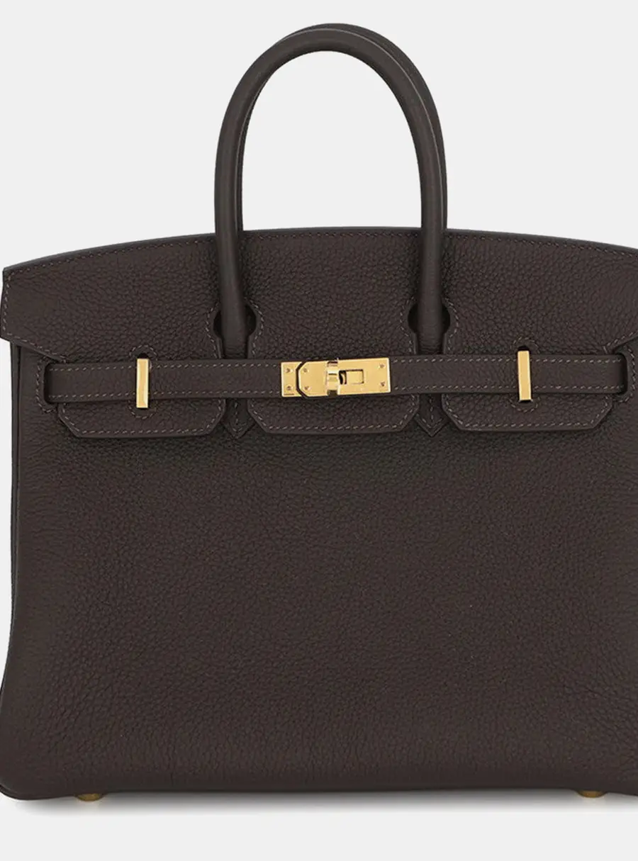 Hermes Birkin 25 Etoupe Togo Calfskin Leather Top Handle Bag