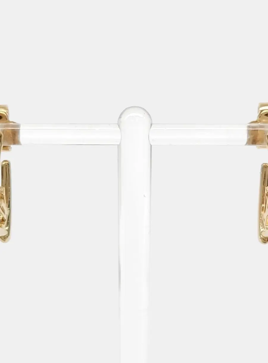 Louis Vuitton Metal earrings
