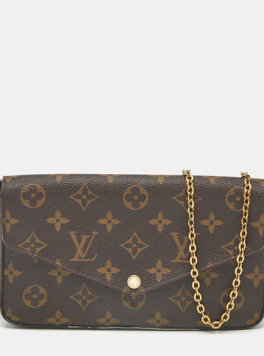 Louis Vuitton Monogram Canvas Felicie Pochette Bag