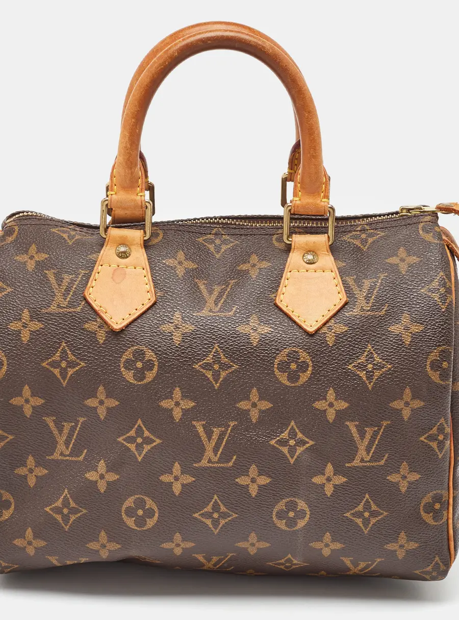 Louis Vuitton Monogram Canvas Speedy 25 Bag