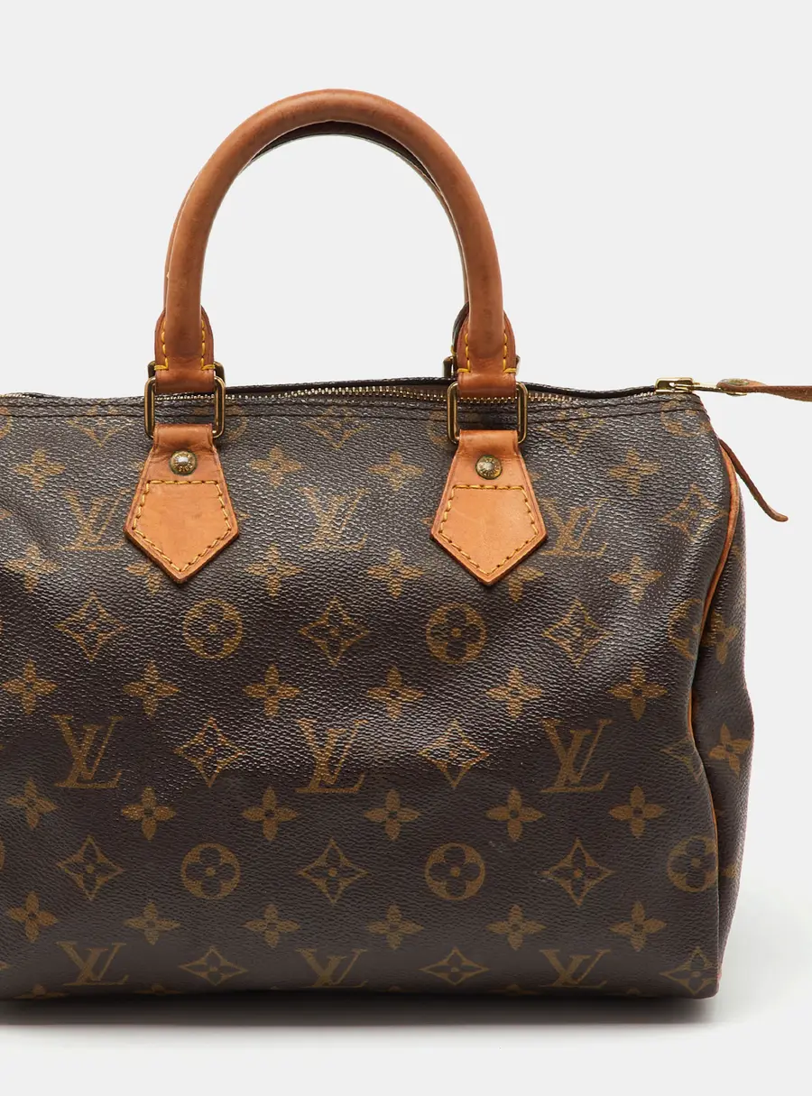 Louis Vuitton Monogram Canvas Speedy 25 Bag