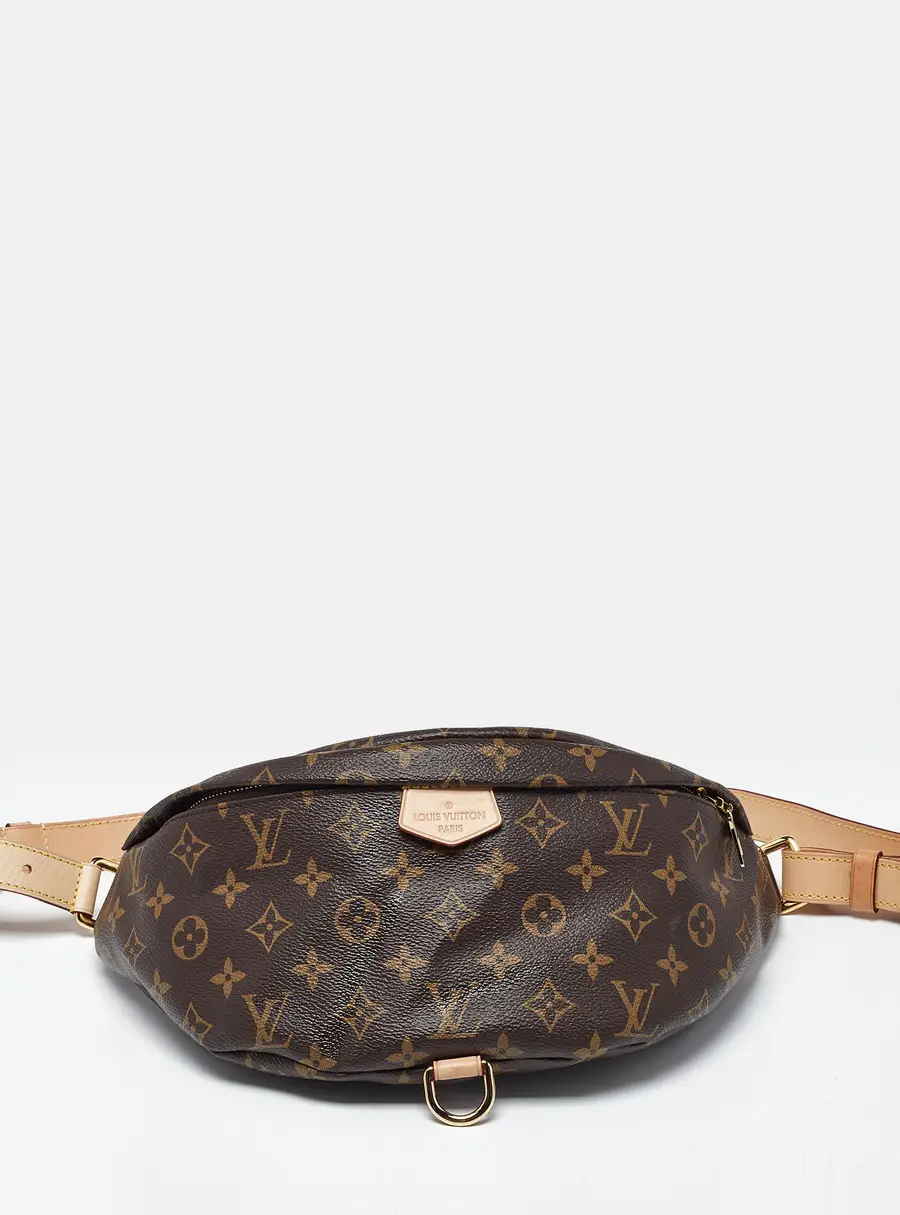 Louis Vuitton Monogram Canvas Bumbag